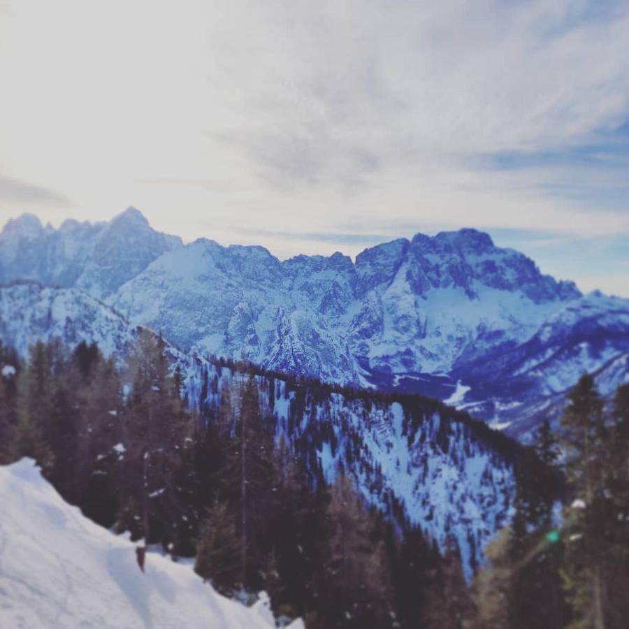 Al Sentiero Di Charly Bed & Breakfast Tarvisio Eksteriør bilde