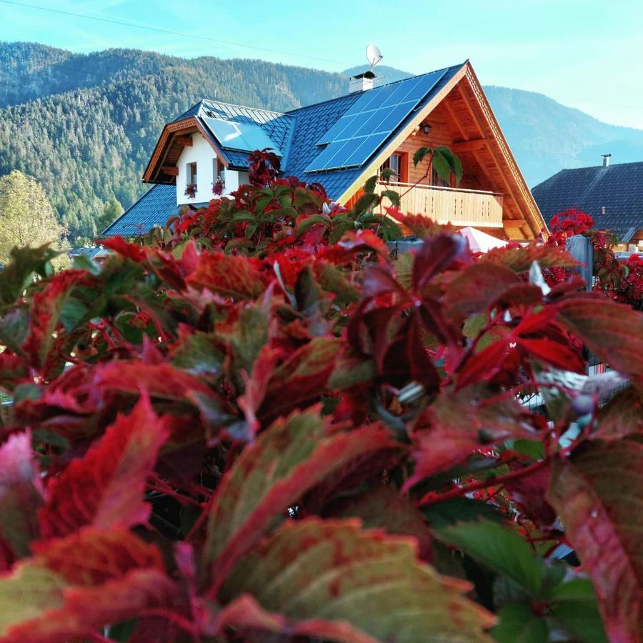 Al Sentiero Di Charly Bed & Breakfast Tarvisio Eksteriør bilde